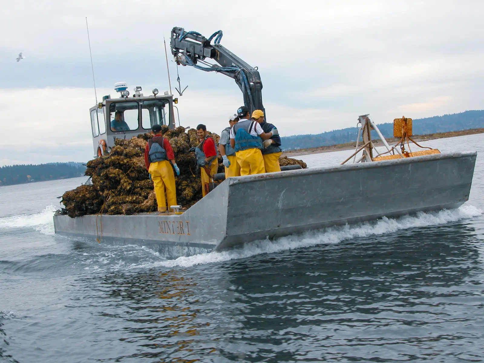 The harvest boat running home loaded