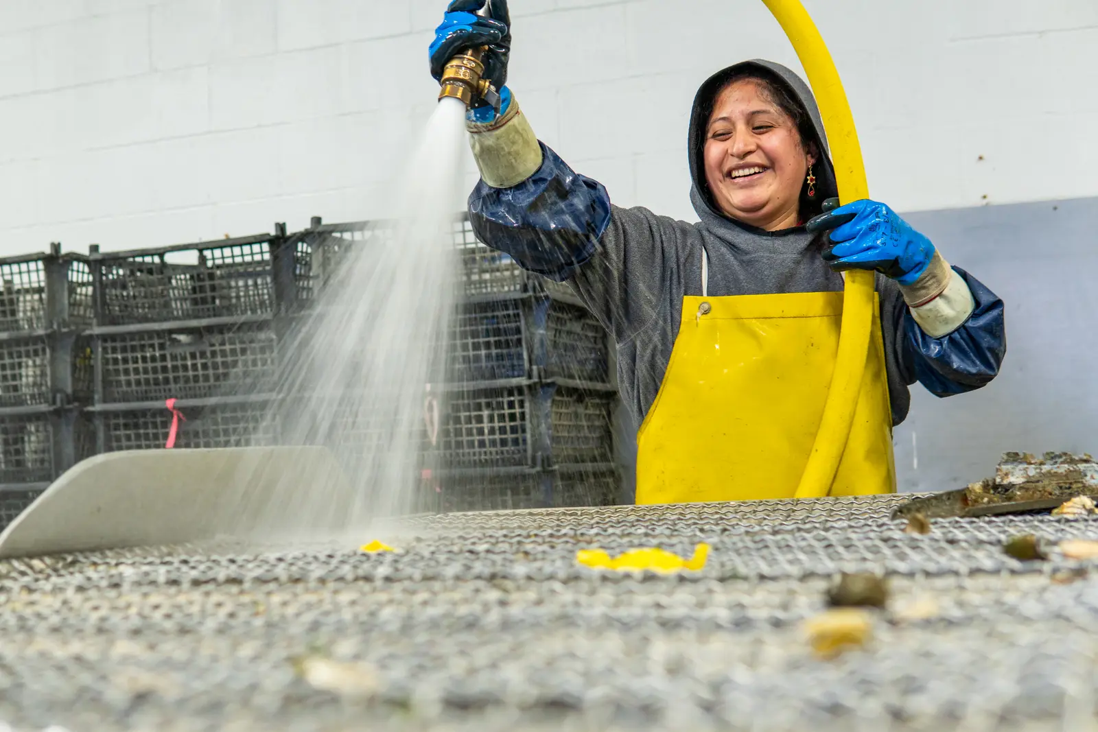 Rinsing the trays in the wash house