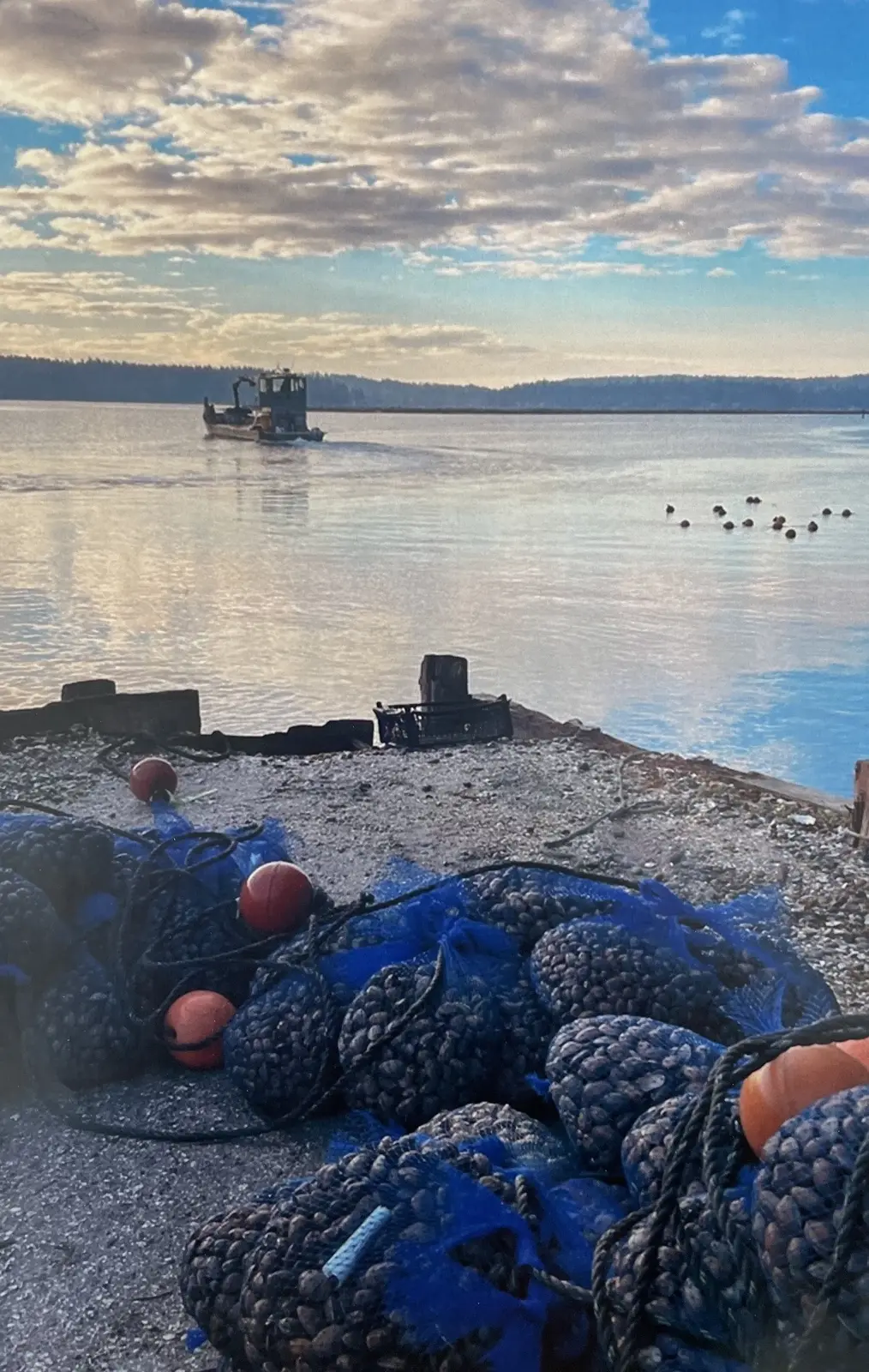 Nets and floats piled on the shore