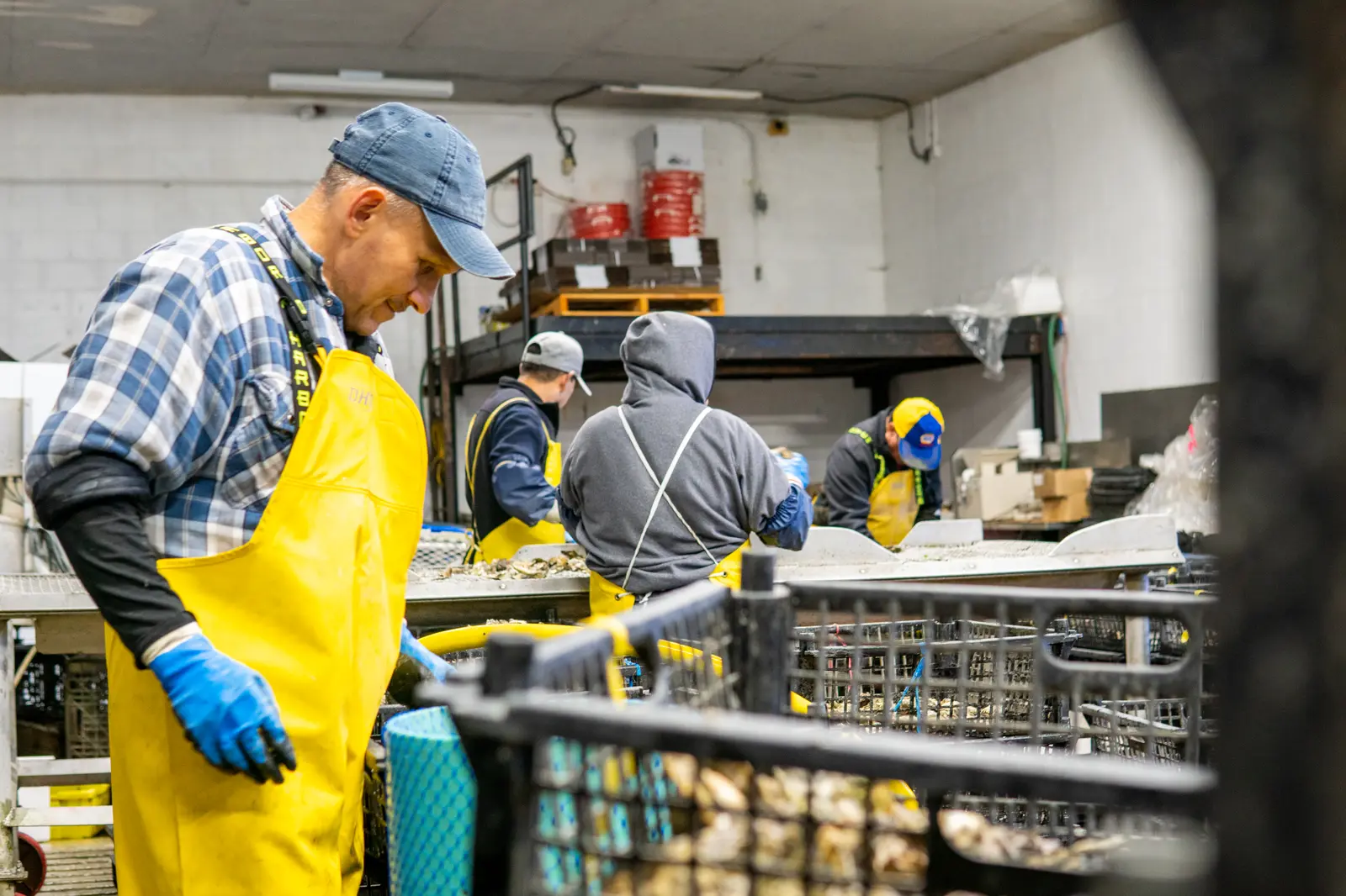 The crew in the processing room