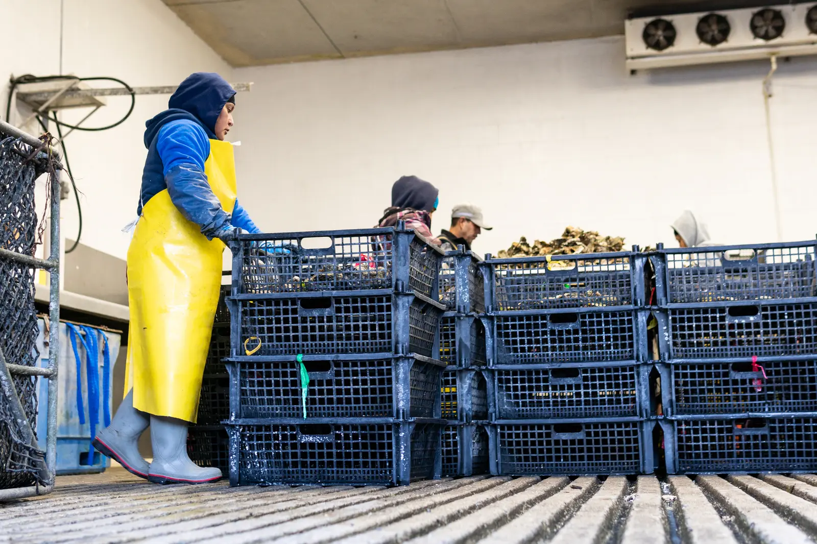 Stacking crates on the processing floor