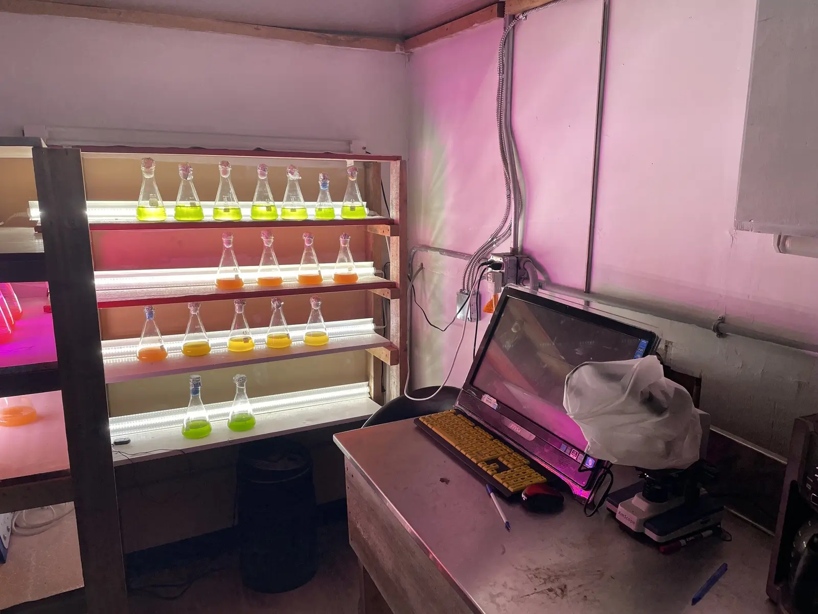 The algae lab that feeds the hatchery
