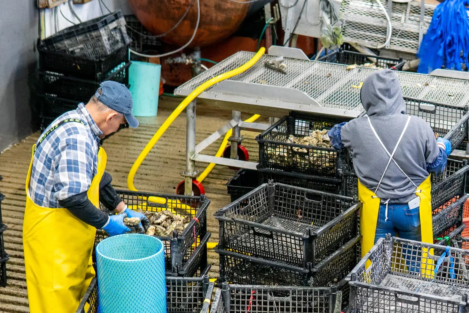 The wash station