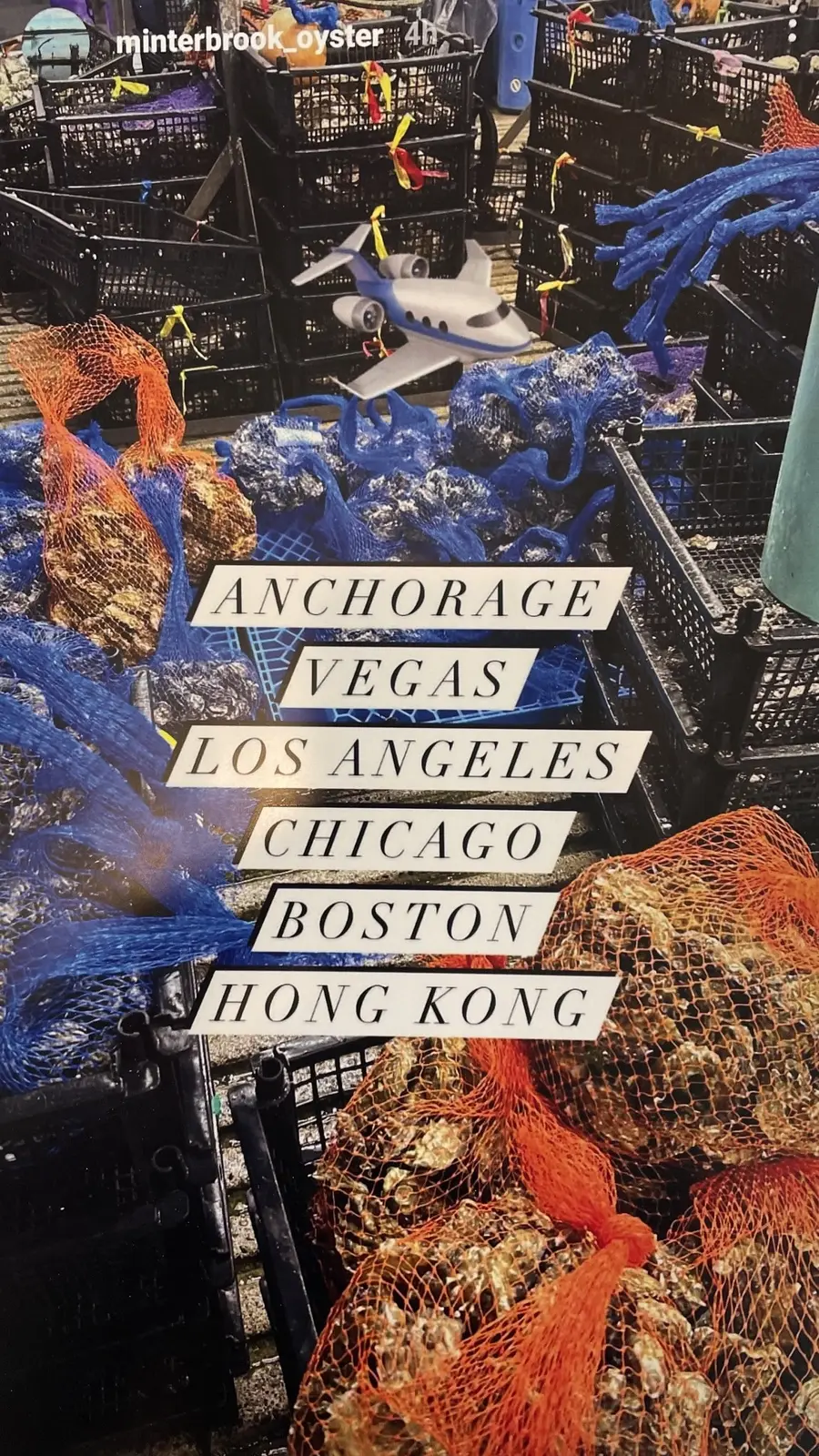 Where it ships: Anchorage, Vegas, Los Angeles, Chicago, Boston, Hong Kong