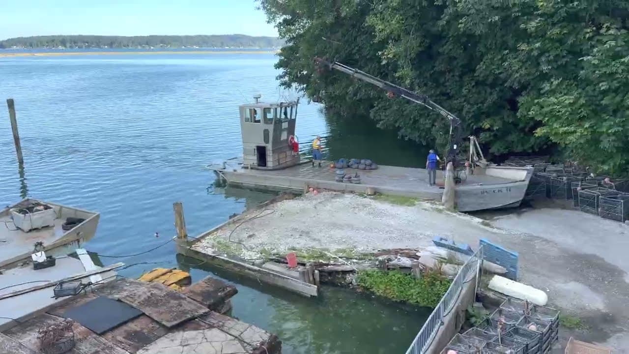 Minterbrook Oyster Company